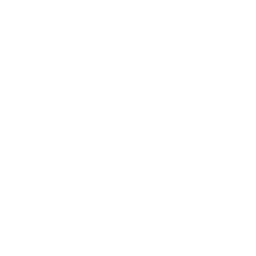 Website Completed