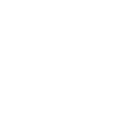 Content Marketing