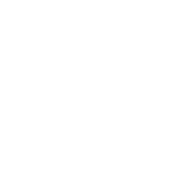 Website Development Services