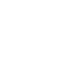 Social Media Optimization