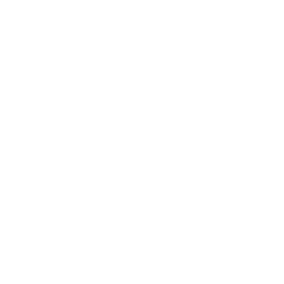 Branding Design