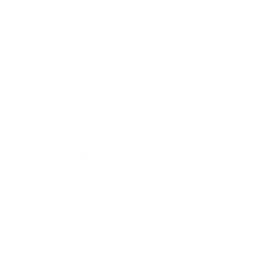 High-Impact Video Reels