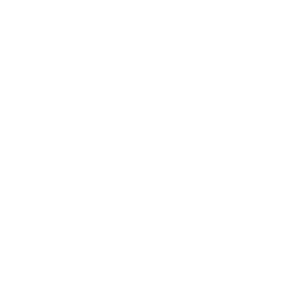 Video and Reel
